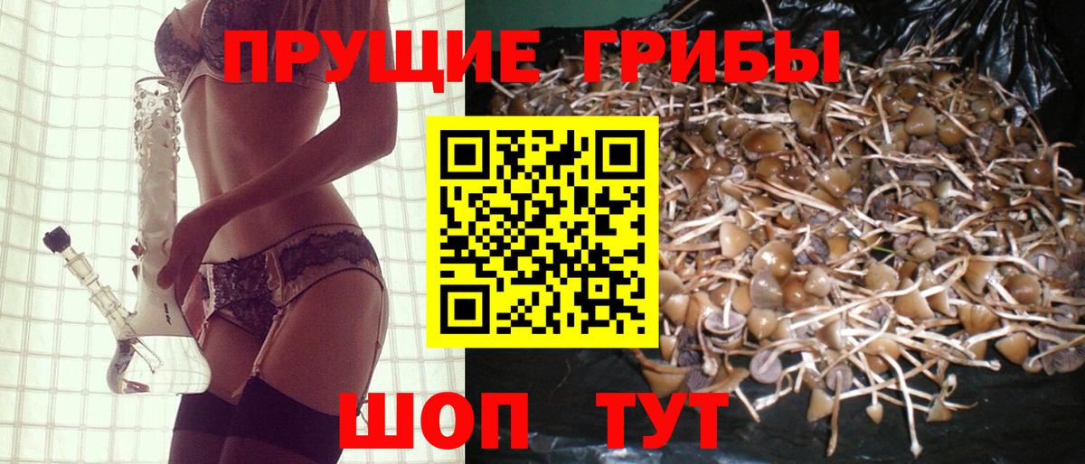 Галлюциногенные грибы мицелий Елабуга